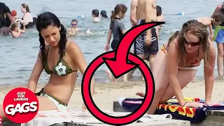 Skunk At The Beach | Just For Laughs Gags