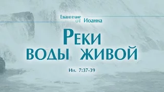 Проповедь: "Ев. от Иоанна: 42. Реки воды живой" (Алексей Коломийцев)