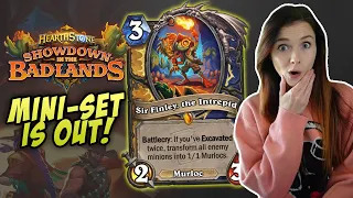 NEW CARDS Make Highlander Paladin Super Fun | Alliestrasza HS