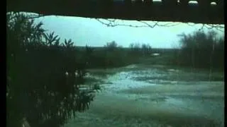 MICHEL POLNAREFF - "Ça n'arrive qu'aux autres" (Bande annonce/trailer) (1971)