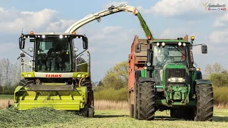 Senáže žita 2020 - od seče po jámu | Claas & John Deere