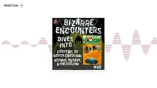 Bizarre Encounters #80 Cryptids of North Carolina: Normie, Knobby, & The Boojum