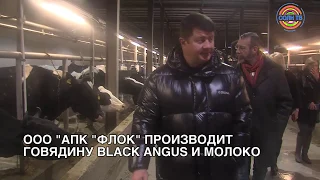 Владимир Слепцов посетил производство мраморной говядины в Повадино