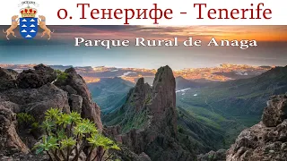 Тенерифе, день 10-й: Национальный парк Рураль де Анага  |  Parque Rural de Anaga, Tenerife, Spain