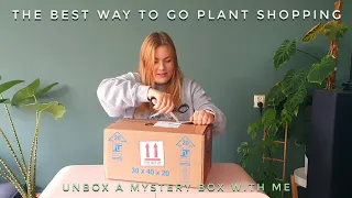 The Best Way to Go Plant Shopping - RARE PLANT Mystery box from Planting.inc