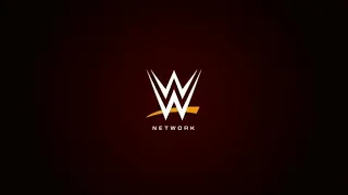 Brock Lesnar vs Bray Wyatt Full Match Roadblock 2016