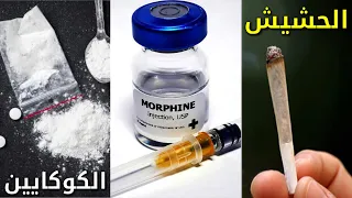 الفرق بين الكوكايين و المورفين و الحشيش