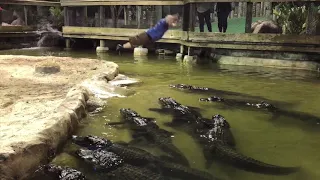 Man Jumps Into Crocodile Infested Waters