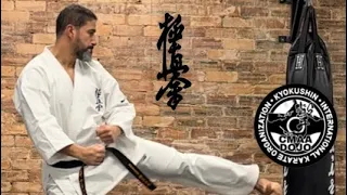 KYOKUSHIN KARATE SOKUGI TAIKYOKU SONO ICHI