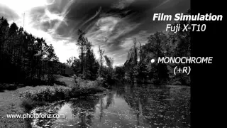 Nikon D7200, Fuji X-T10, Film Simulation & Picture Control & Special Effects Shootout Part 4