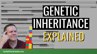 How DNA Inheritance Impacts Your DNA Results | Genetic Genealogy Explained
