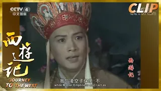 唐僧又被“逼婚” 误入小雷音寺危机重重《西游记》第19集【CCTV电视剧】