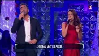 Sofia Essaïdi & Ary Abittan enflamment "Noubliez pas les paroles !" (Prime du 3 janvier 2014)