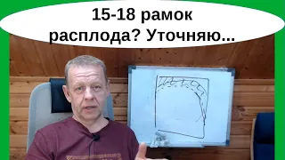 "15-18 дадановских рамок расплода. Что за чудо?" или сколько рамок расплода во Владимирском улье.