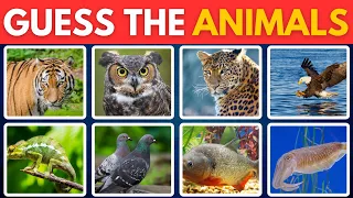 Guess the Animals in 5 Seconds 🦁🐱 | Mystery Quiz