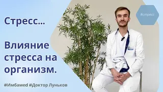 Стресс. Влияние стресса на организм. Как справиться с тревогой и стрессом. Клиника Имбамед