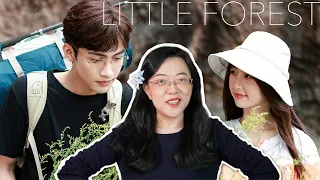 I Worry About Si Teng and Da Qiang Showing Up ALL THE TIME!  - Little Forest Impression [CC]