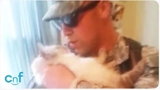 Soldier Welcomed Home by Excited Cat - Aww