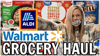 HUGE GROCERY HAUL AND MEAL PLAN 2020 / ALDI HAUL / WALMART HAUL / NEW FINDS  / GROCERY SHOP WITH ME