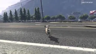 GTA5 Crossy Road/Chicken Pug Edition