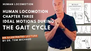 Human Locomotion: Chapter 3, Ideal Motions During the Gait Cycle