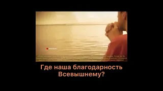 Где наша благодарность Всевышнему #ислам #коран