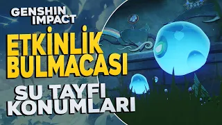 Işıkla Gölgenin Dansı Bulmacası | Gizli Yaz Cenneti 2023 | Genshin Impact Türkçe Rehber