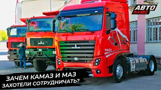 Зачем КамАЗ и МАЗ захотели сотрудничать? 📺 Новости с колёс №2929