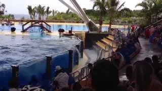 Loro Parque "Шоу касаток" 2013 Канары о.Тенерифе