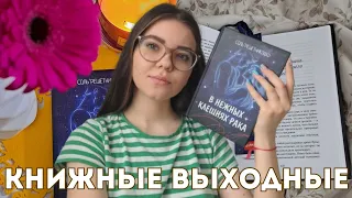 КНИЖНЫЕ ВЫХОДНЫЕ ☕️📚🧡 || читаю "В нежных клешнях рака" Соль Решетникофф ||