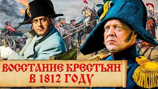 Крестьянское восстание 1812 года. Была ли Отечественная война 1812 года восстанием крестьян?