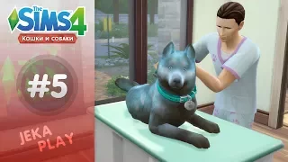 The Sims 4 Кошки и собаки | Неожиданный пациент! - #5