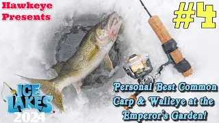 Ice Lakes (2024) #4 - ALL Lakes Tour: Personal Best Common Carp & Walleye at the Emperor's Garden!