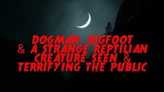 DOGMAN, BIGFOOT & A STRANGE REPTILIAN CREATURE SEEN & TERRIFYING THE PUBLIC