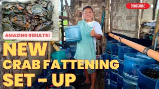 ECO-FRIENDLY & EFFECTIVE CRAB FATTENING SET-UP (With results!)