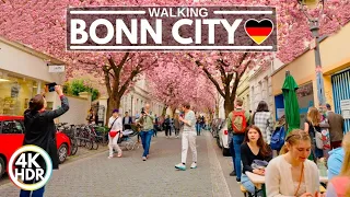 Bonn, Germany - Cherry Blossoms in Beethoven City 2022 - 4K-HDR 60FPS With Captions!