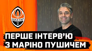 Marino Pusic joined Shakhtar 🧡 First interview with the new head coach