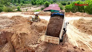 New Updating Excellent Project Dozer KOMATSU Push Soil To Filling Up Land, Dump Truck 5Ton Unloading
