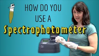 How do you use a Spectrophotometer? A step-by-step guide!