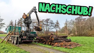 ZUGESCHLAGEN! | Unsere Holzlieferung | Neues ausm Hühnerstall | Mr. Moto