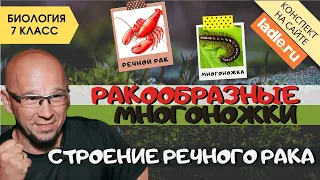 Класс Ракообразные и Многоножки. Биология 7 класс. Строение речного рака. Тип Членистоногие животные