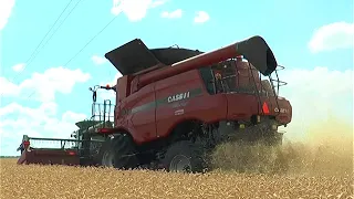 На полях идет борьба за урожай