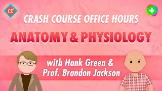 Crash Course Office Hours: Anatomy & Physiology