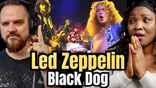 Led Zeppelin - Black Dog (Live at Madison Square Garden 1973) first time reaction