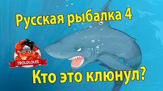 Русская рыбалка 4  Что это за рыба  рекорд недели