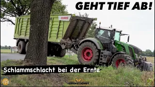 GEHT TIEF AB! LU J&J Lohnauftrag 1200ha Mais Schlammschlacht bei der Ernte John Deere 9800i