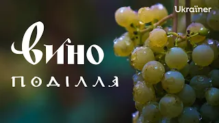 Виноробство на Поділлі: міф чи реальність? • Ukraïner