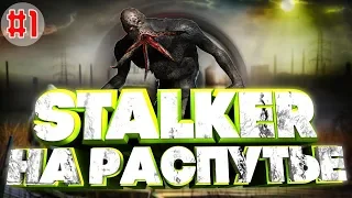 STALKER На распутье:  Матёрый кровосос на болотах.  #1