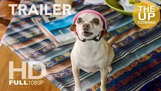 Dog Days new trailer official