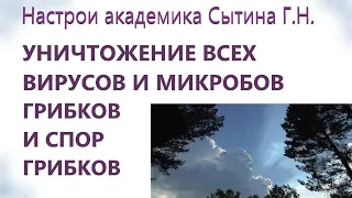 Уничтожение всех вирусов и микробов, грибков и спор грибков Настрои Сытина Г.Н.